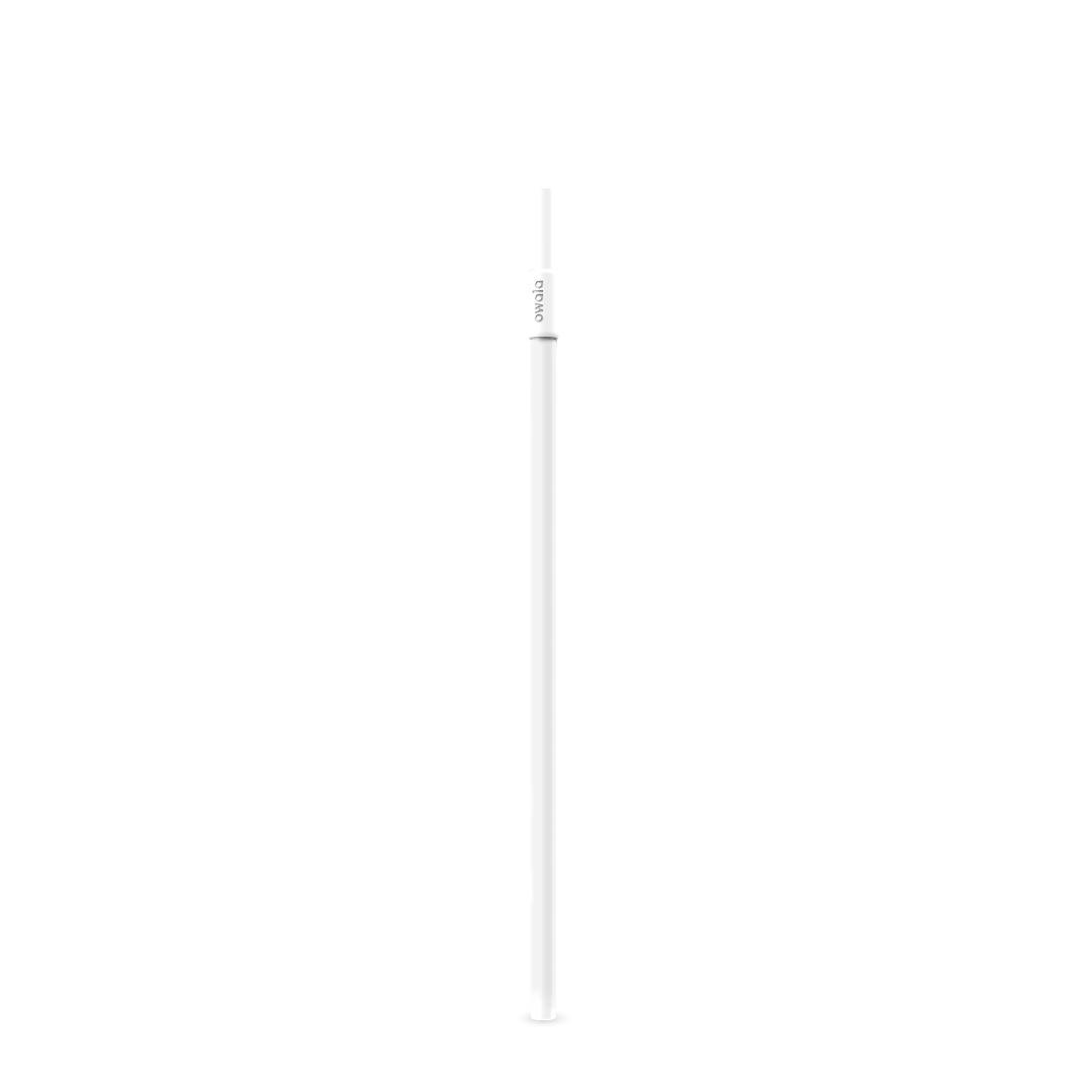 Replacement Straws A6