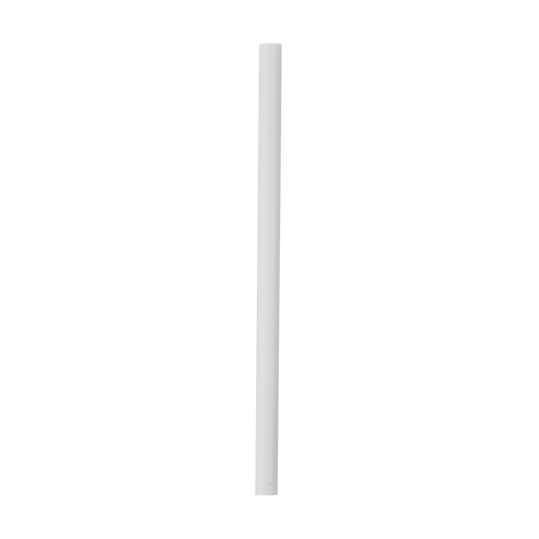 Replacement Straws A6